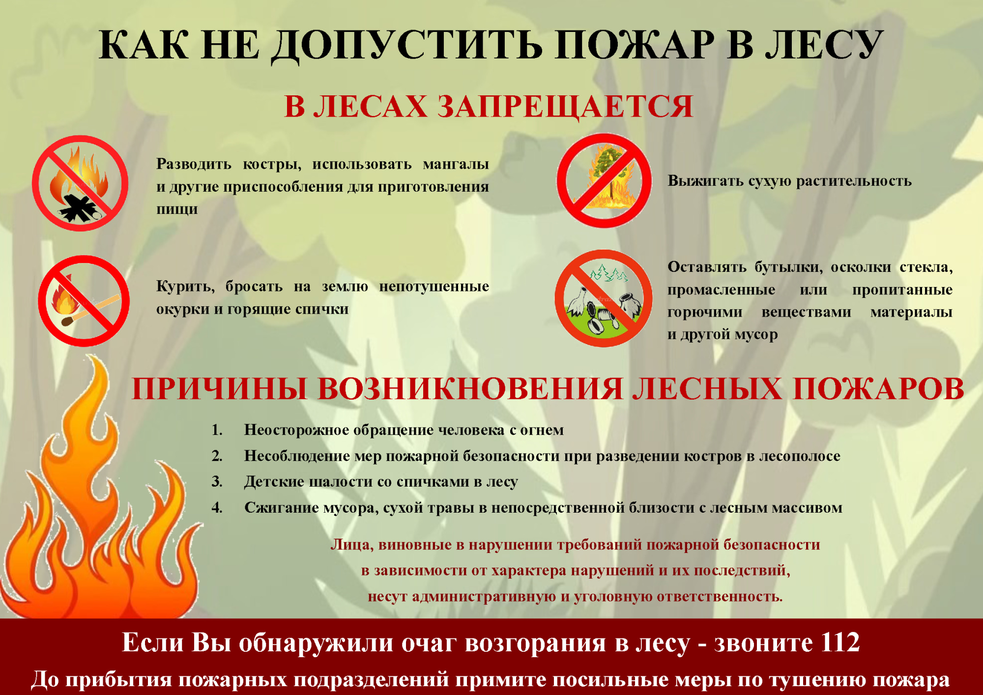 Изображения.